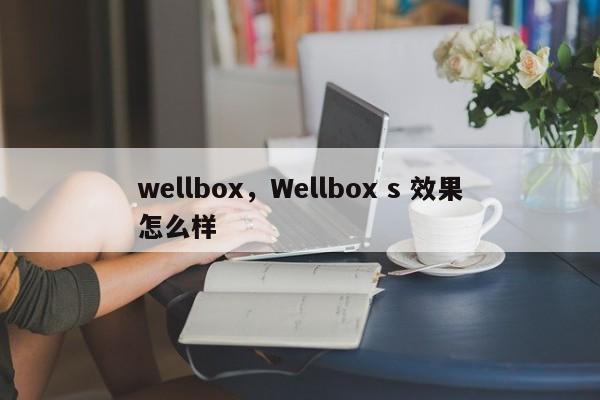 wellbox，Wellbox s 效果怎么样-第1张图片