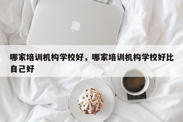 哪家培训机构学校好，哪家培训机构学校好比自己好-第1张图片