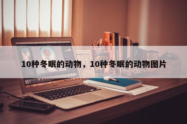 10种冬眠的动物，10种冬眠的动物图片-第1张图片