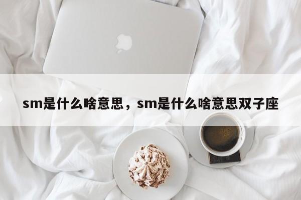 sm是什么啥意思，sm是什么啥意思双子座-第1张图片