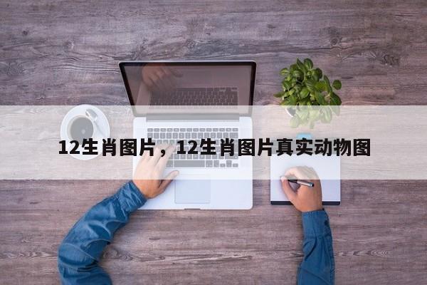 12生肖图片，12生肖图片真实动物图-第1张图片