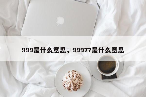 999是什么意思，99977是什么意思-第1张图片