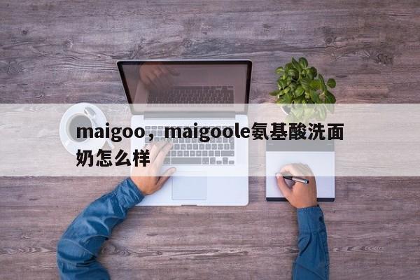 maigoo，maigoole氨基酸洗面奶怎么样-第1张图片