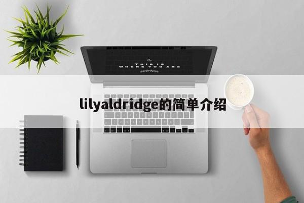 lilyaldridge的简单介绍-第1张图片