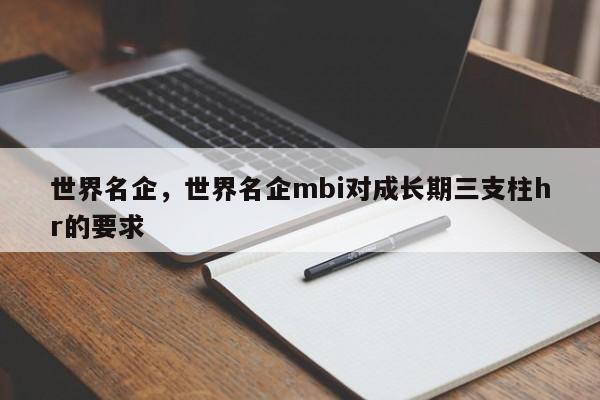 世界名企，世界名企mbi对成长期三支柱hr的要求-第1张图片